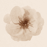 Profile picture of Aesthetic_Templates