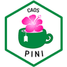 Imagen de perfil de Pini