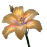 Profile picture of unq2934