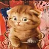 Profile picture of PaoloMark